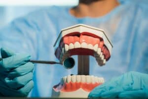 A dental doctor wearing blue gloves and a mask holds a dental model of the upper and lower jaws and